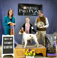 Iowa Brittany Club & LaSalle Brittany Club Winners & Futurity