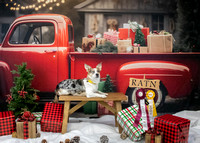 Fort Dodge Barn Hunt Portraits